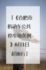 《合肥市机动车公共停车场条例》6月1日起施行