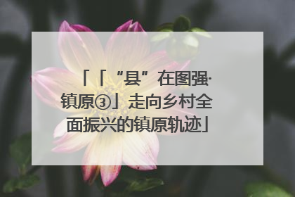 「“县”在图强·镇原③」走向乡村全面振兴的镇原轨迹