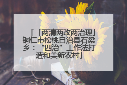 「两清两改两治理」铜仁市松桃自治县石梁乡：“四治”工作法打造和美新农村