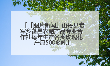 「图片新闻」山丹县老军乡蕃昌农副产品专业合作社每年生产各类玫瑰花产品500多吨