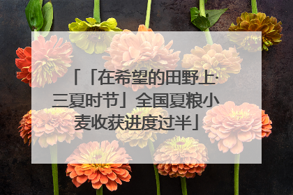 「在希望的田野上·三夏时节」全国夏粮小麦收获进度过半