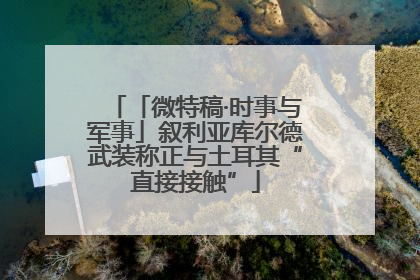 「微特稿·时事与军事」叙利亚库尔德武装称正与土耳其“直接接触”