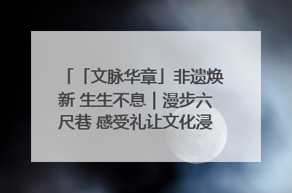 「文脉华章」非遗焕新 生生不息｜漫步六尺巷 感受礼让文化浸润的“巷”往生活