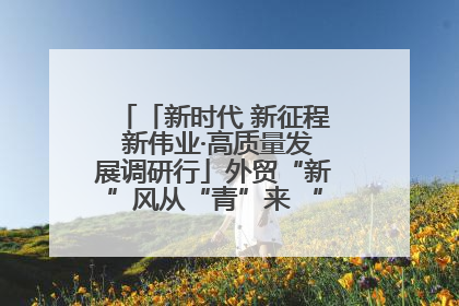「新时代 新征程 新伟业·高质量发展调研行」外贸“新”风从“青”来 “双向奔赴”启新程