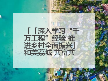 「深入学习“千万工程”经验 推进乡村全面振兴」和美荔城 共富共美 荔城区扎实推进乡村振兴工作