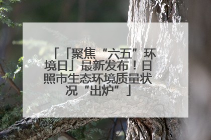 「聚焦“六五”环境日」最新发布！日照市生态环境质量状况“出炉”