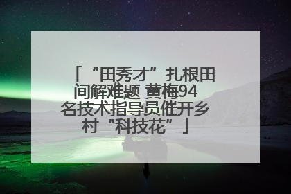 “田秀才”扎根田间解难题 黄梅94名技术指导员催开乡村“科技花”