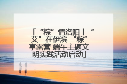 “粽”情洛阳丨“艾”在伊滨 “粽”享露营 端午主题文明实践活动启动