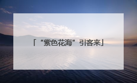 “紫色花海”引客来