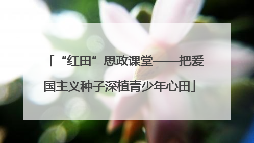 “红田”思政课堂——把爱国主义种子深植青少年心田