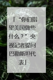 “你们指望美国做些什么？”央视记者提问巴勒斯坦代表