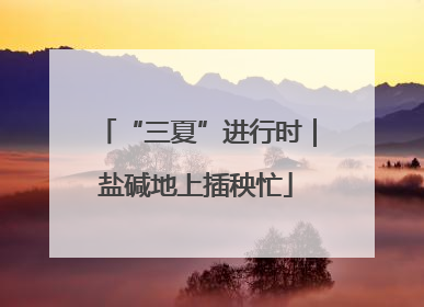 “三夏”进行时｜盐碱地上插秧忙