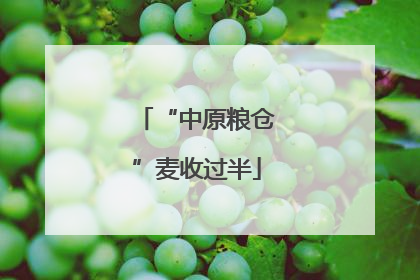 “中原粮仓”麦收过半