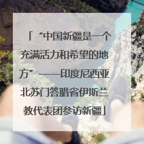 “中国新疆是一个充满活力和希望的地方”——印度尼西亚北苏门答腊省伊斯兰教代表团参访新疆