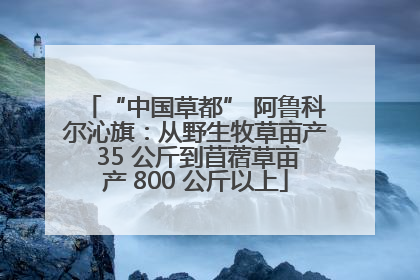 “中国草都” 阿鲁科尔沁旗：从野生牧草亩产 35 公斤到苜蓿草亩产 800 公斤以上