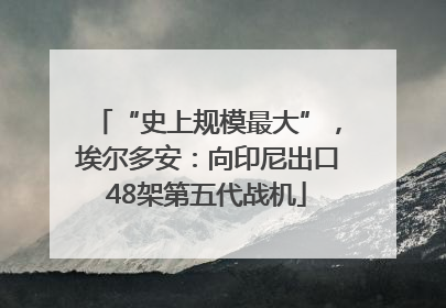 “史上规模最大”，埃尔多安：向印尼出口48架第五代战机