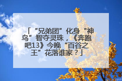 “兄弟团”化身“神鸟”智夺灵珠，《奔跑吧13》今晚“百谷之王”花落谁家？