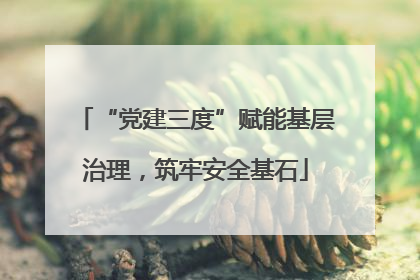 “党建三度”赋能基层治理，筑牢安全基石