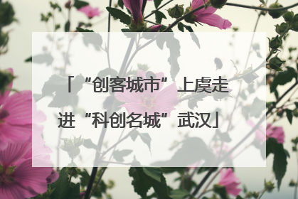 “创客城市”上虞走进“科创名城”武汉