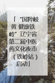 “国粹岐黄 健康铁岭”辽宁省第二届中医药文化夜市（铁岭站）启动