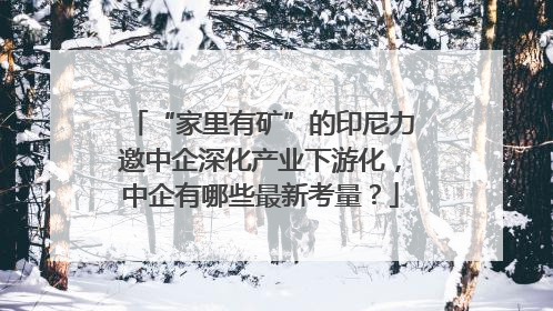 “家里有矿”的印尼力邀中企深化产业下游化，中企有哪些最新考量？