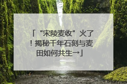 “宋陵麦收”火了！揭秘千年石刻与麦田如何共生→