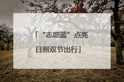 “志愿蓝”点亮日照双节出行