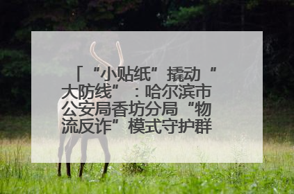 “小贴纸”撬动“大防线”：哈尔滨市公安局香坊分局“物流反诈”模式守护群众“钱袋子”