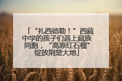 “扎西德勒！”西藏中学的孩子们遇上藏族同胞，“高原红石榴”绽放荆楚大地