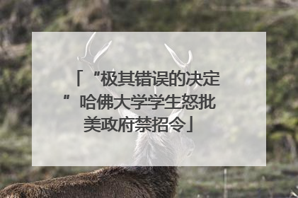 “极其错误的决定”哈佛大学学生怒批美政府禁招令
