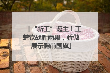 “新王”诞生！王楚钦战胜雨果，骄傲展示胸前国旗