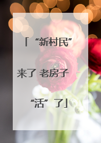 “新村民”来了 老房子“活”了