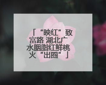 “映红”致富路 湖北广水胭脂红鲜桃火“出圈”