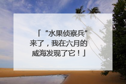 “水果侦察兵”来了，我在六月的威海发现了它！