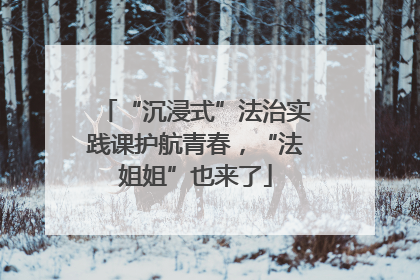 “沉浸式”法治实践课护航青春，“法姐姐”也来了