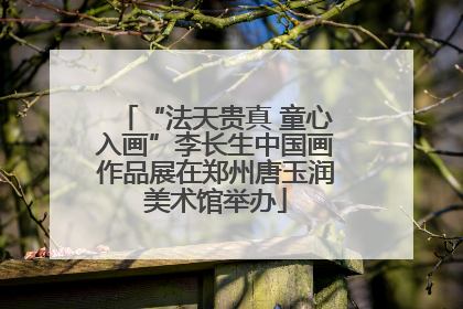 “法天贵真 童心入画”李长生中国画作品展在郑州唐玉润美术馆举办