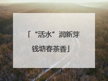 “活水”润新芽 钱塘春茶香