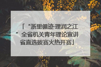 “浙里循迹·理润之江”全省机关青年理论宣讲省直选拔赛火热开赛