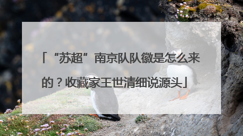 “苏超”南京队队徽是怎么来的？收藏家王世清细说源头