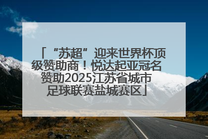 “苏超”迎来世界杯顶级赞助商！悦达起亚冠名赞助2025江苏省城市足球联赛盐城赛区
