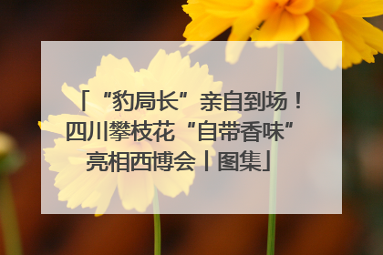“豹局长”亲自到场！四川攀枝花“自带香味”亮相西博会丨图集