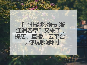 “非遗购物节·浙江消费季”又来了，探店、直播、云平台，你玩哪哪种