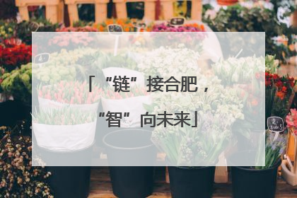 “链”接合肥，“智”向未来