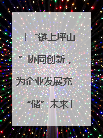 “链上坪山”协同创新，为企业发展充“储”未来