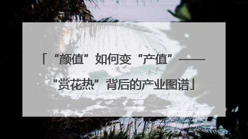 “颜值”如何变“产值”——“赏花热”背后的产业图谱