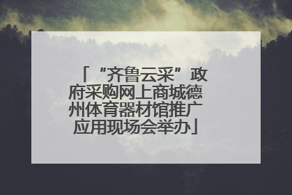 “齐鲁云采”政府采购网上商城德州体育器材馆推广应用现场会举办