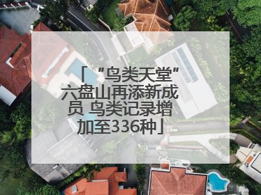 “鸟类天堂”六盘山再添新成员 鸟类记录增加至336种