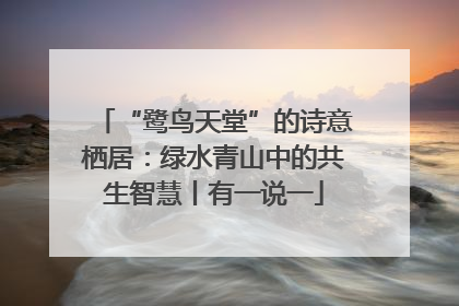 “鹭鸟天堂”的诗意栖居：绿水青山中的共生智慧丨有一说一
