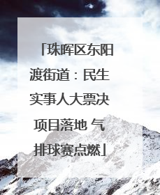 珠晖区东阳渡街道：民生实事人大票决项目落地 气排球赛点燃