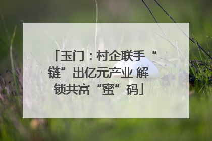 玉门：村企联手“链”出亿元产业 解锁共富“蜜”码